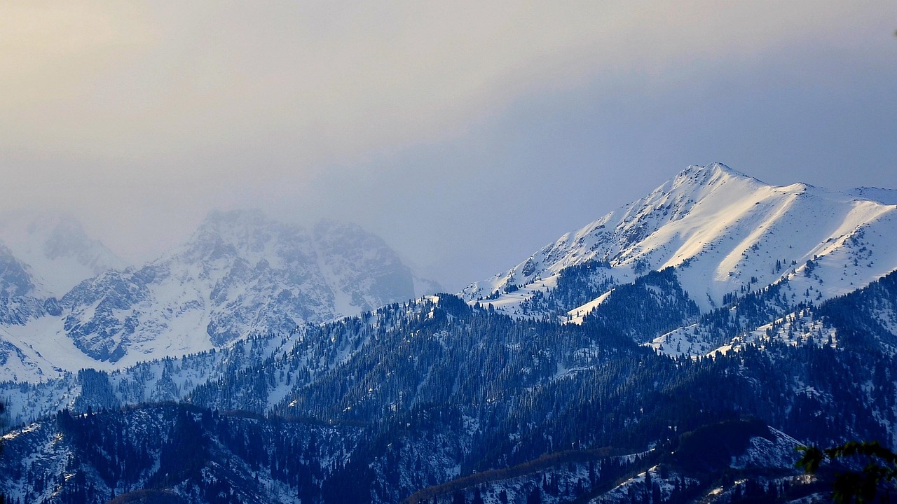 A Signature Alpine Morning Blend Featuring Siberian Fir