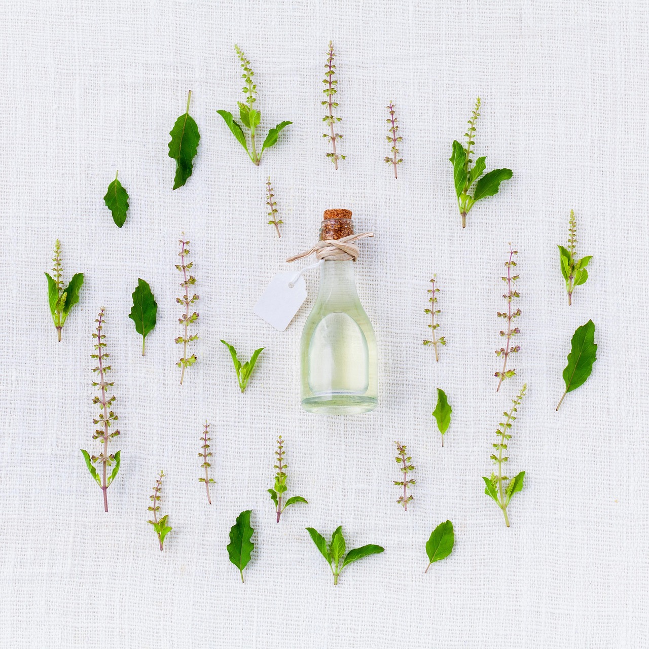 Fir Essential Oil Uses: 20 Ways to Bring the Forest Indoors
