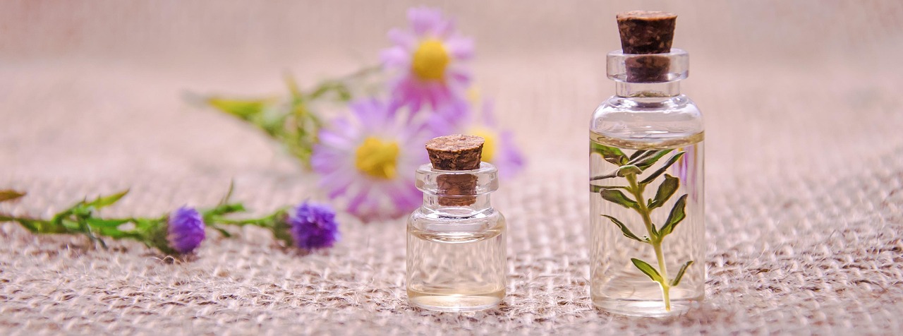 What Does Fir Essential Oil Smell Like? A Forest Scent Profile
